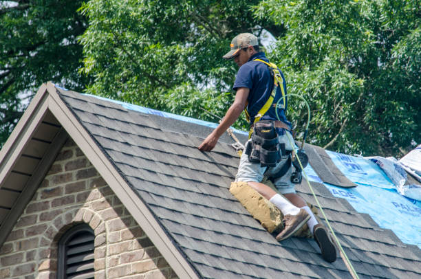 Best Roof Waterproofing Services  in Mcnair, VA